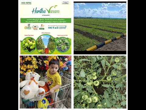 Invest in Your Dream Plot Under 2 Lakhs with HSS Infra